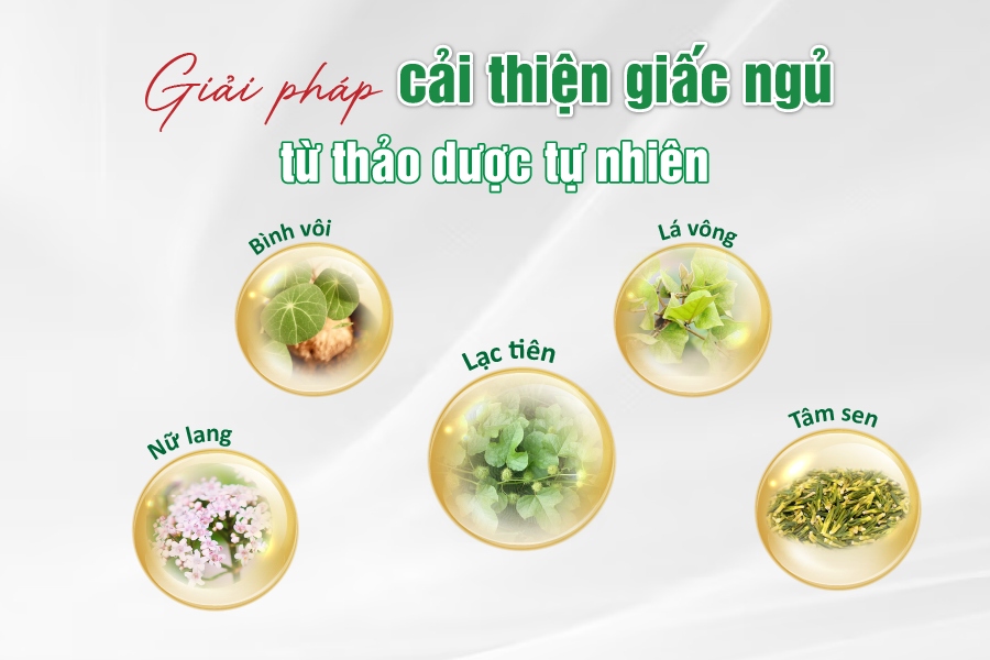 Các loại thảo dược trong việc cải thiện giấc ngủ